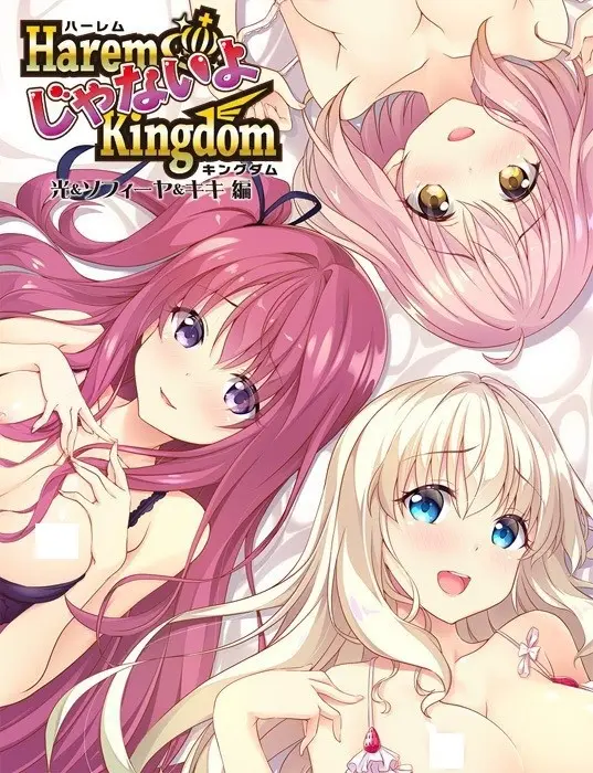 HaremKingdom 后宫王国 本篇+FD*2 PC平台 gal类型图片-2